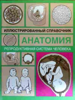 Книга Анатомия Репродуктивная система человека, 11-19324, Баград.рф